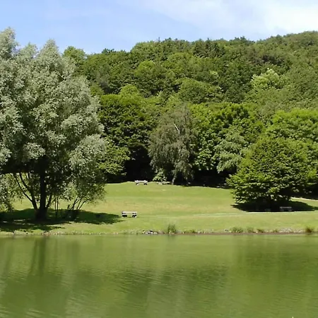 Lower Terrace Rieden (Mayen-Koblenz)