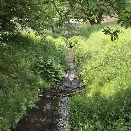 Lower Terrace * Rieden (Mayen-Koblenz)