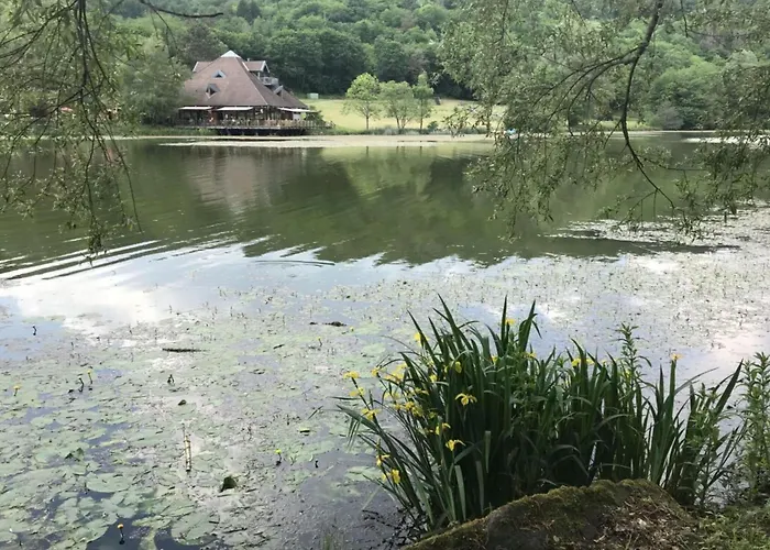 Lower Terrace アパート