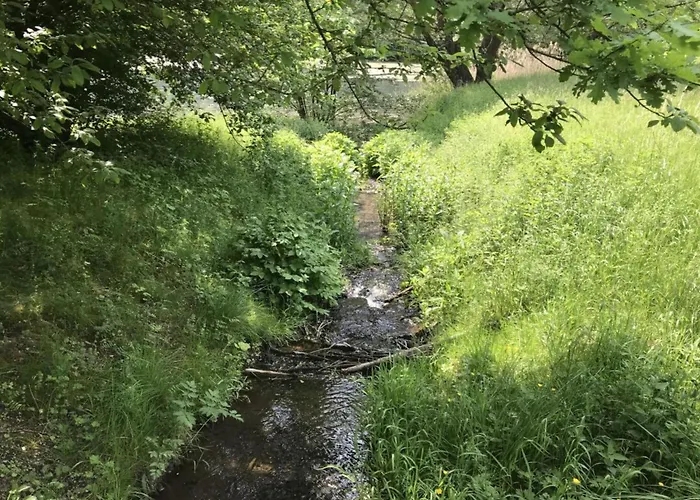 Lower Terrace * Rieden